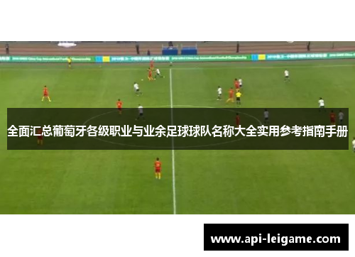 全面汇总葡萄牙各级职业与业余足球球队名称大全实用参考指南手册 全面汇总葡萄牙各级职业与业余足球球队名称大全实用参考指南手册