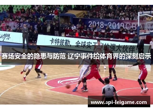 赛场安全的隐患与防范 辽宁事件给体育界的深刻启示