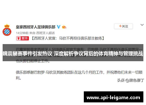 魏震禁赛事件引发热议 深度解析争议背后的体育精神与管理挑战